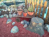 garten 150.webp