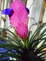 PICT0002.webp