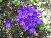 PICT0012.webp