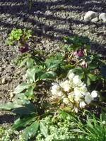PICT0014.webp