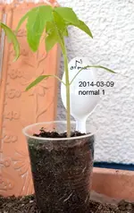 DSC_8372_2014-03-09_normal_1.webp