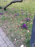 016.webp