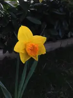 037.webp