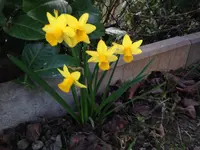 038.webp