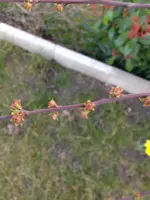 040.webp