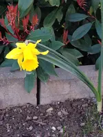 035.webp