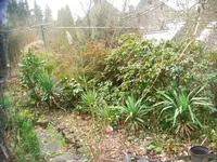 CIMG1777.webp