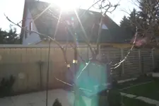 P3081058.webp