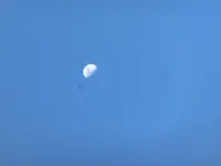 CIMG6888.webp