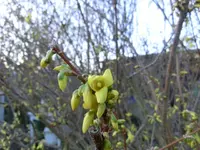 CIMG6889.webp