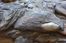Holz27.webp
