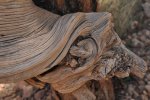 Holz21.jpg