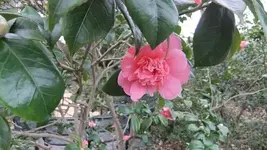 Bilda 0454.webp