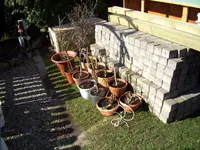 100_1320.webp 100_1320.webp