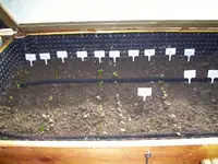 100_1321.webp 100_1321.webp