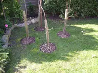 100_1324.webp 100_1324.webp