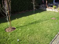 100_1328.webp 100_1328.webp