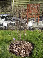 100_1331.webp 100_1331.webp