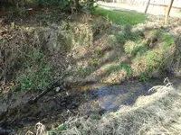 Ausspülung1.webp