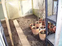 100_1339.webp 100_1339.webp