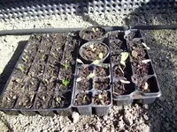 100_1344.webp 100_1344.webp