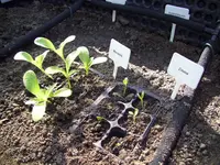 100_1345.webp 100_1345.webp