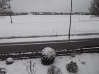 DSCF0302.webp