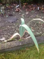IMG-20131226-WA0002.webp