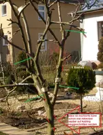 Bild 1.webp