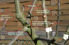 Bild 2.webp
