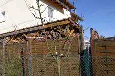 Bild 5.webp