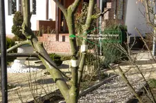 Bild 6.webp