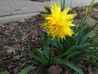 003.webp