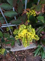 006.webp