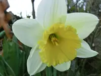 CIMG6896.webp