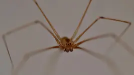 DSC_0007.webp