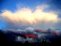 P6090045_000.webp
