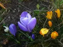 P1110537.webp