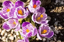 Stg 14-03-10-1181.webp