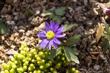 Stg 14-03-10-1184.webp