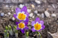 Stg 14-03-10-1185.webp