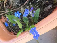 image.webp