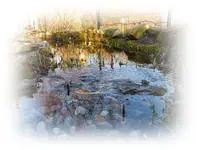 Filterbecken.webp