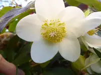 P1110557.webp