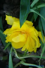 comp_DSC00950.webp