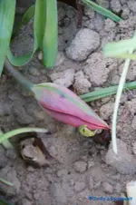 comp_DSC00952.webp