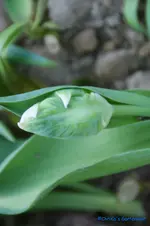 comp_DSC00953.webp