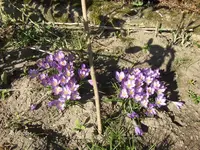 HPIM0273.webp