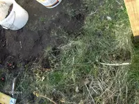 HPIM0278.webp