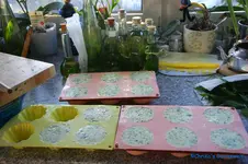 comp_DSC00954.webp